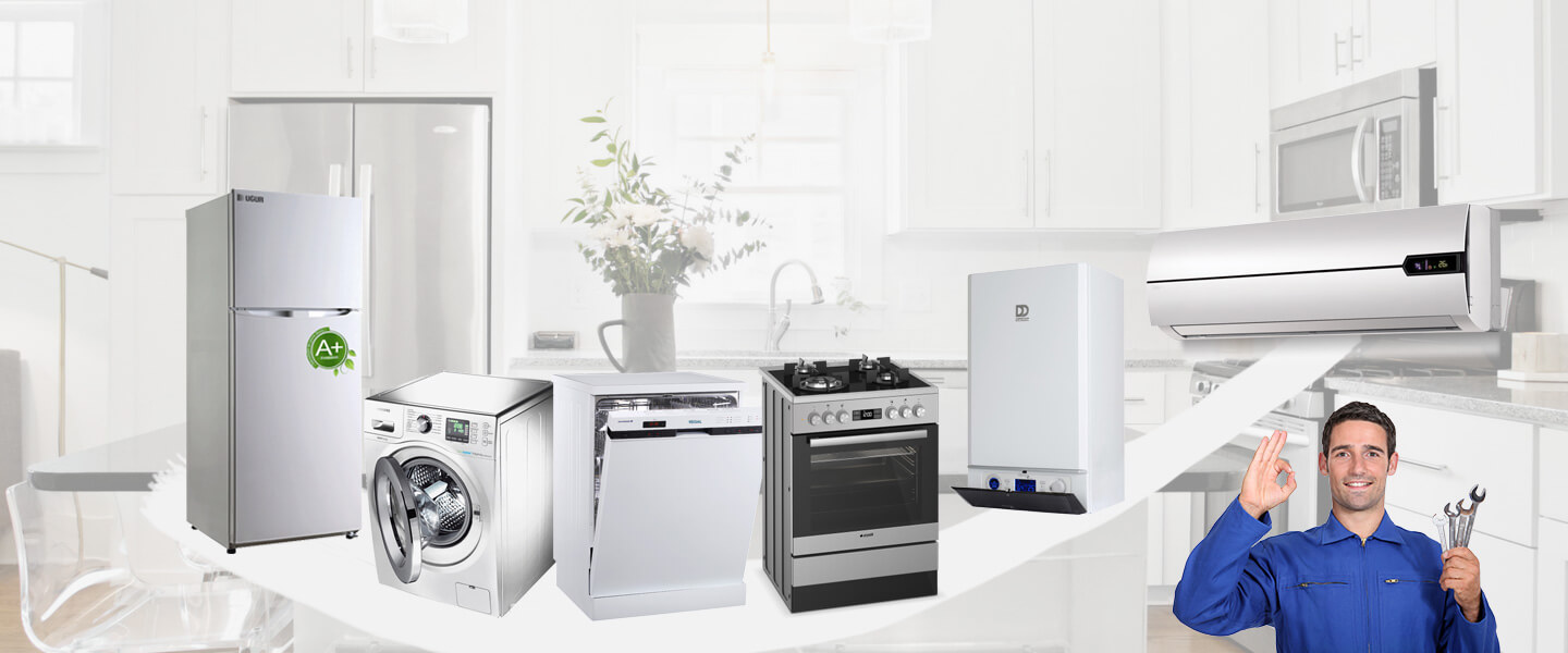 Buca Koop Electrolux Servisi